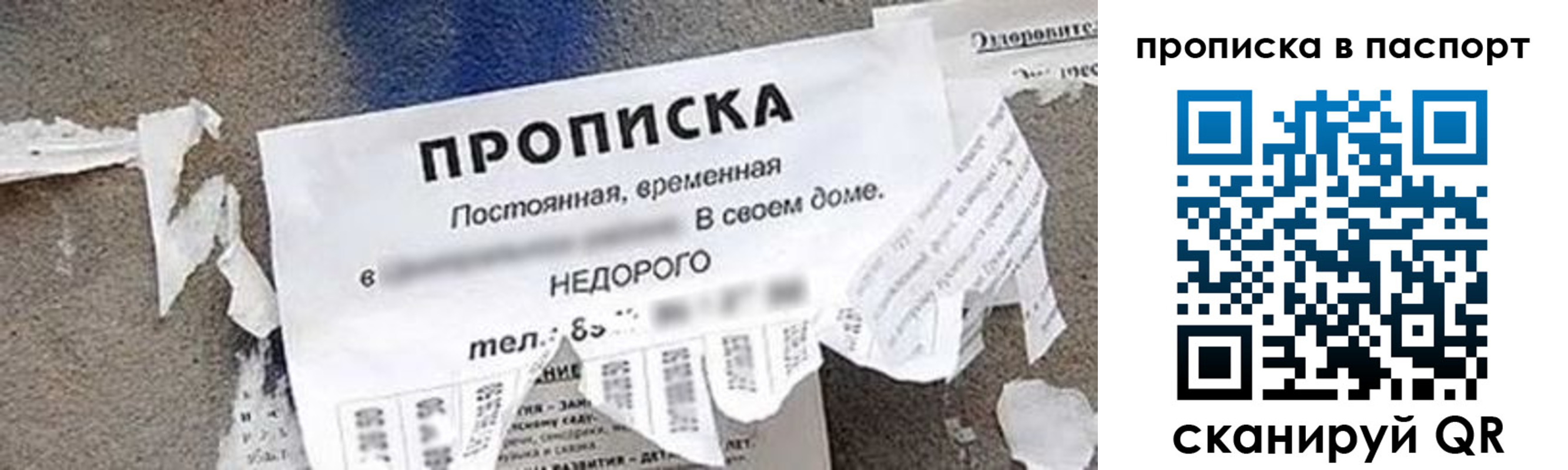 где прописаться в Гороховце